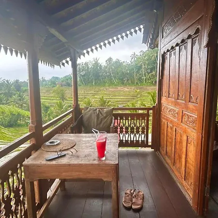 D'Ume Bendoel Homestay Jatiluwih Exterior photo