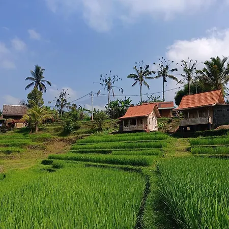 D'Ume Bendoel Homestay Jatiluwih Exterior photo