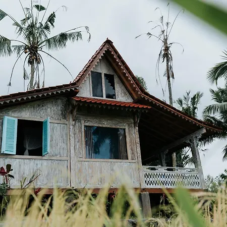 D'Ume Bendoel Homestay Jatiluwih Room photo