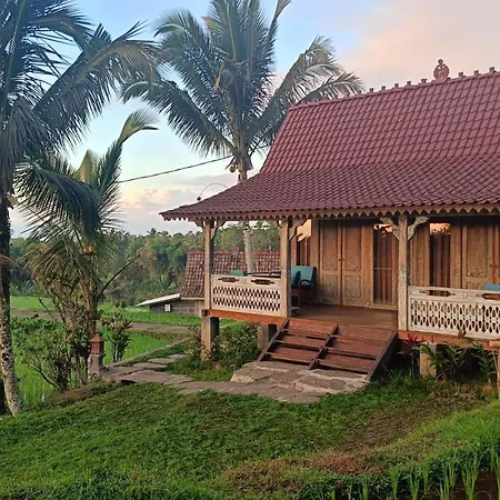 D'Ume Bendoel Homestay Jatiluwih Exterior photo