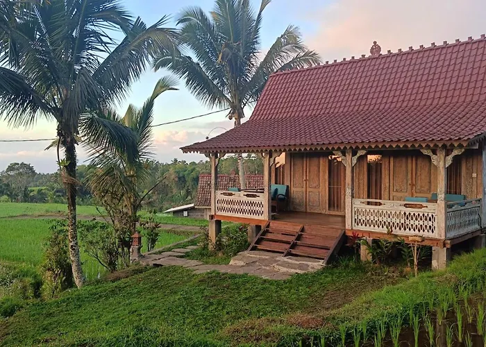 D\'Ume Bendoel Homestay