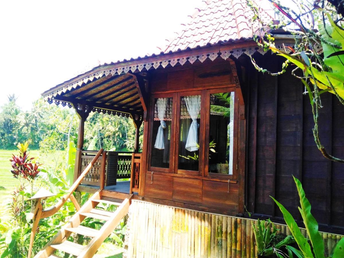 D'ume Bendoel Homestay *