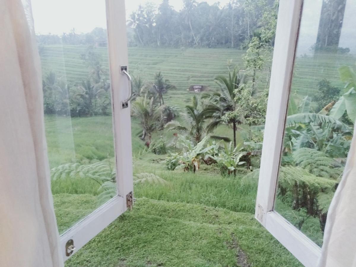 Homestay D'ume Bendoel Jatiluwih