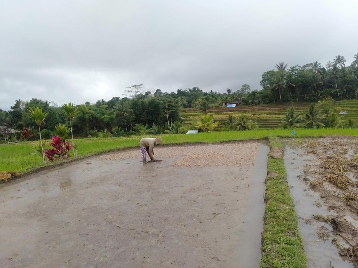 D'ume Bendoel Homestay