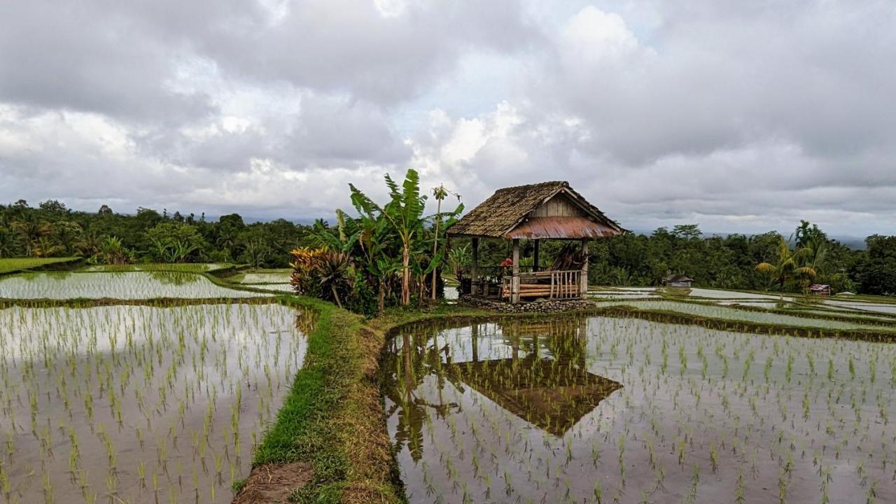 Homestay D'ume Bendoel
