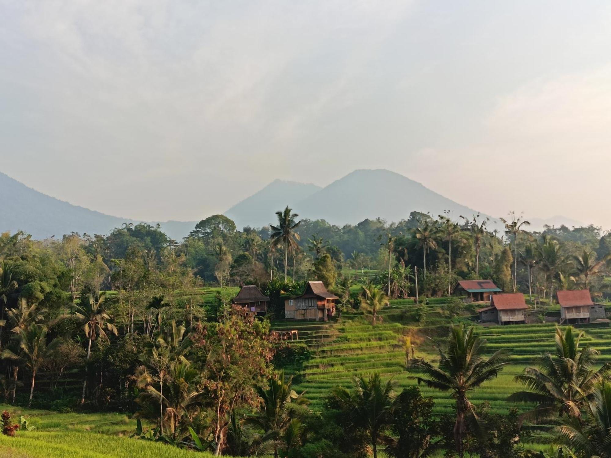 D'ume Bendoel Homestay *