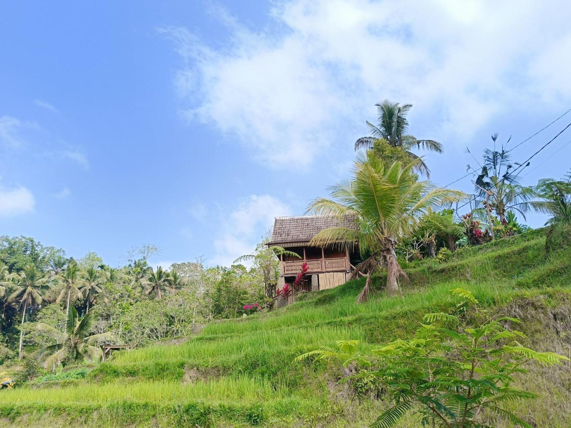 D'ume Bendoel Homestay