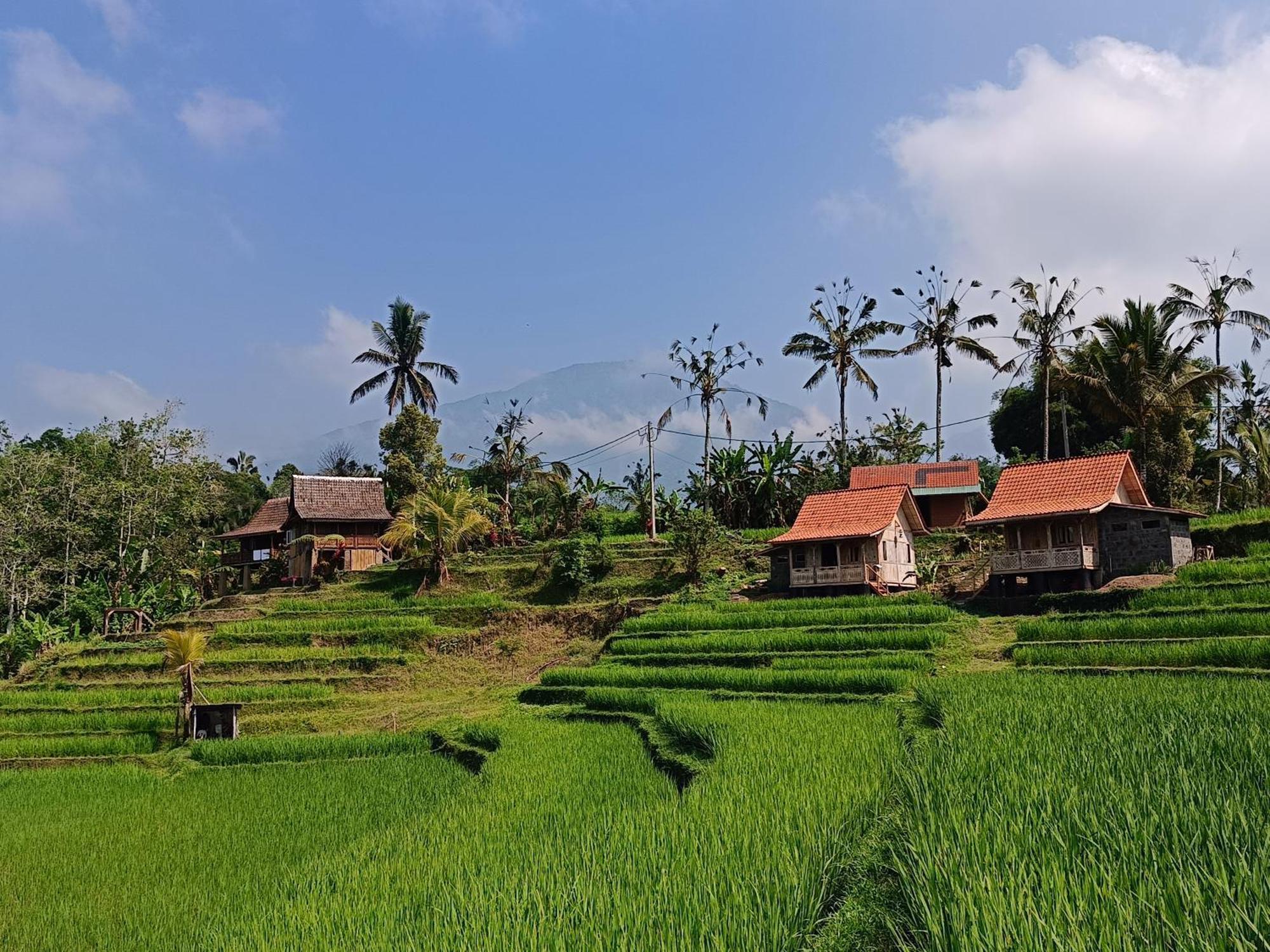 Homestay D'ume Bendoel *
