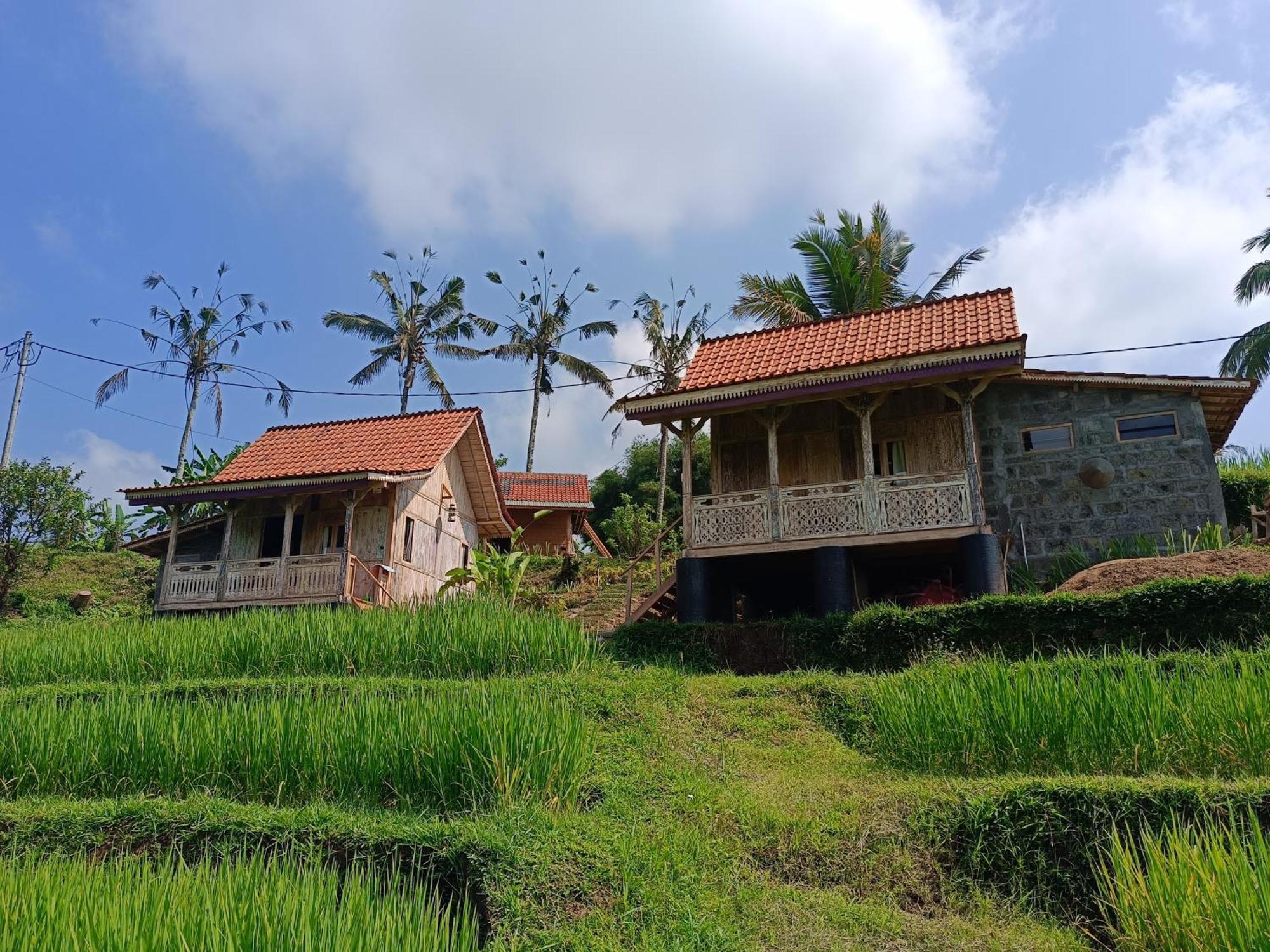 D'ume Bendoel Homestay *