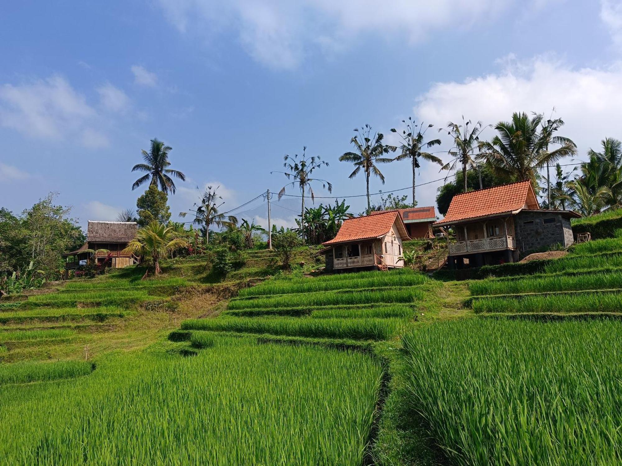 Homestay D'ume Bendoel