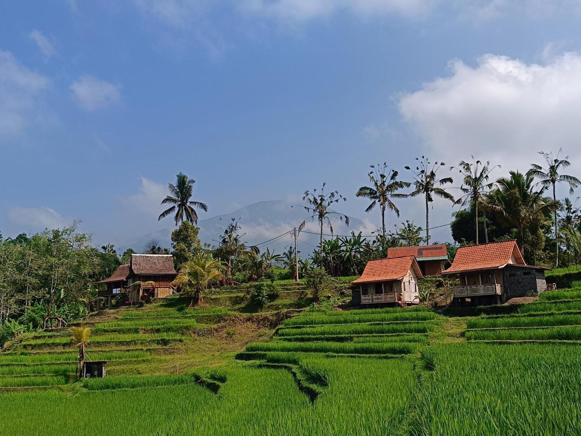 Homestay D'ume Bendoel *
