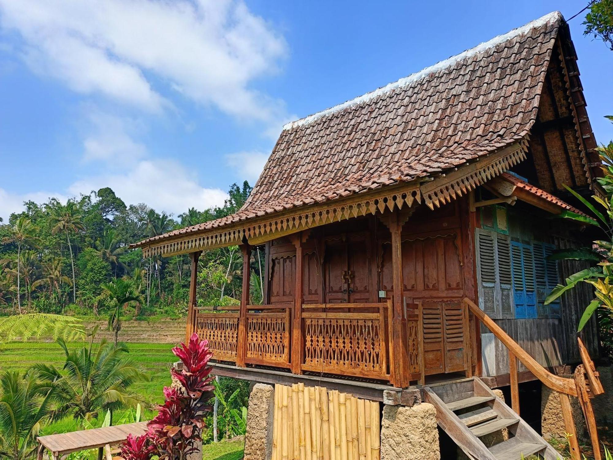 Homestay D'ume Bendoel Jatiluwih