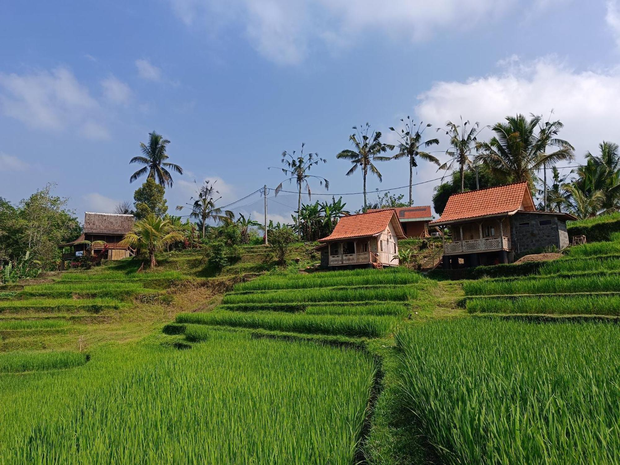 Homestay D'ume Bendoel