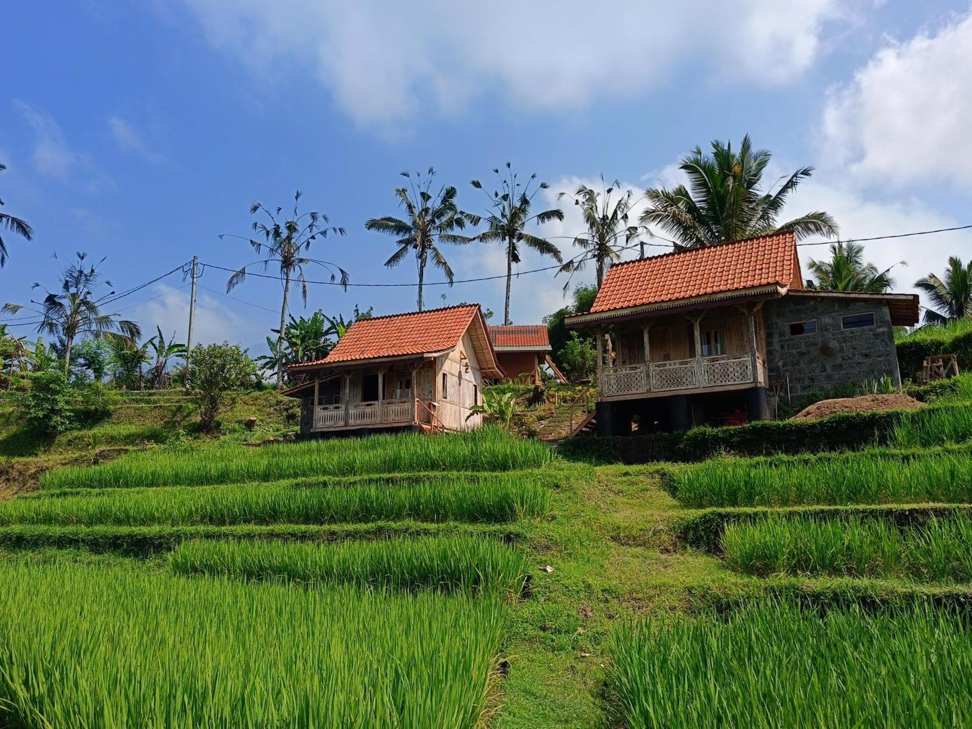 Homestay D'ume Bendoel *