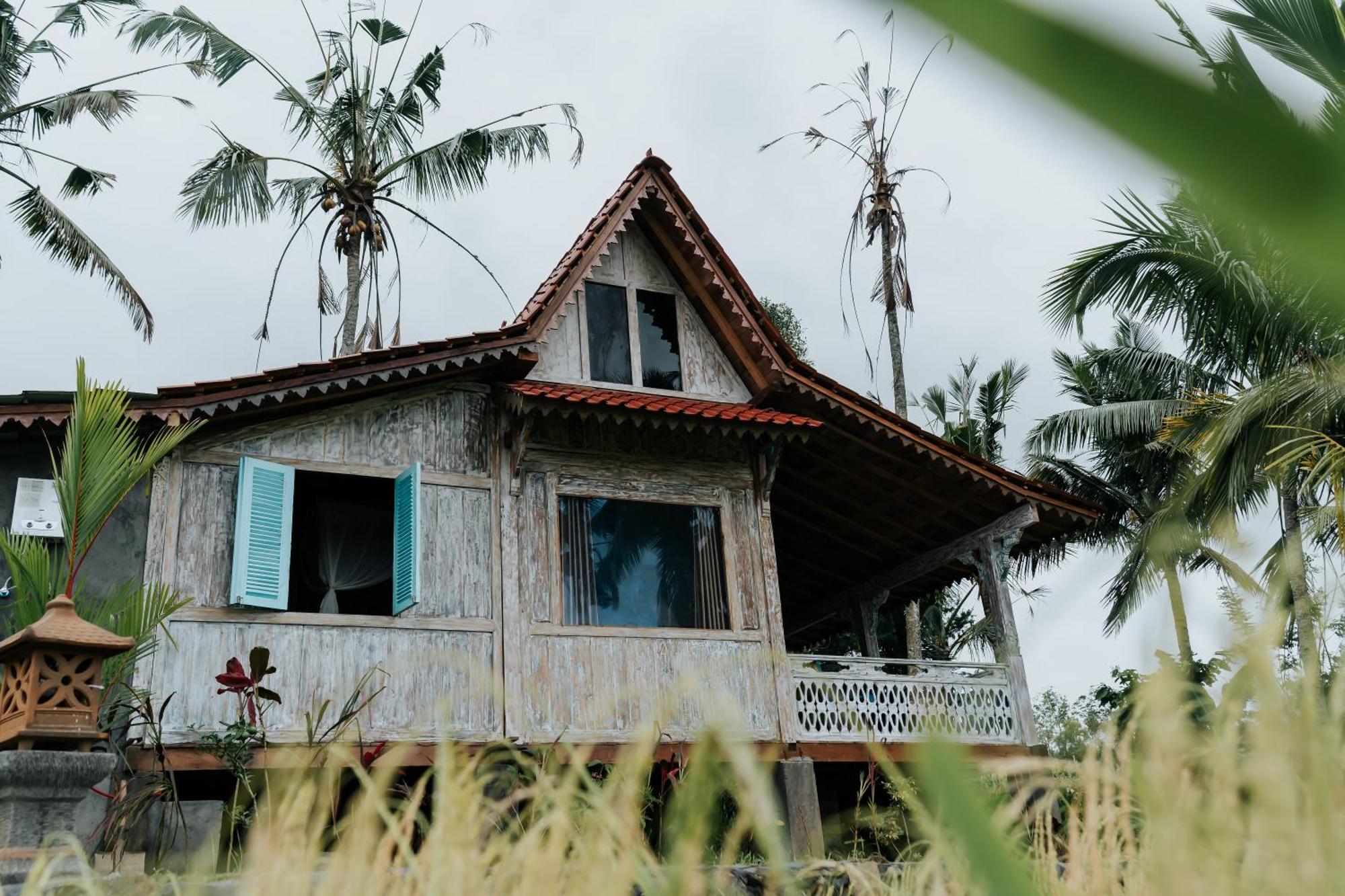 D'ume Bendoel Homestay Jatiluwih