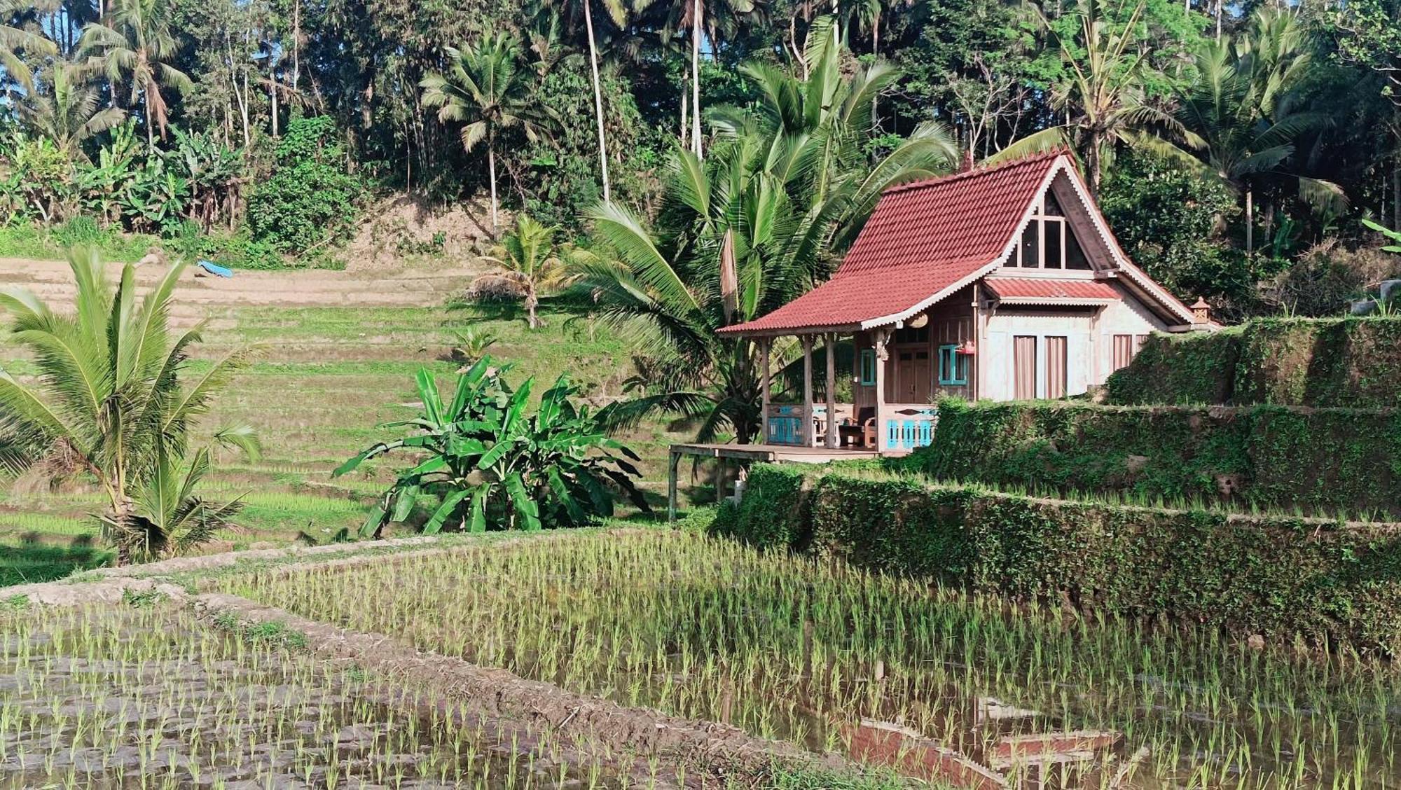 Homestay D'ume Bendoel