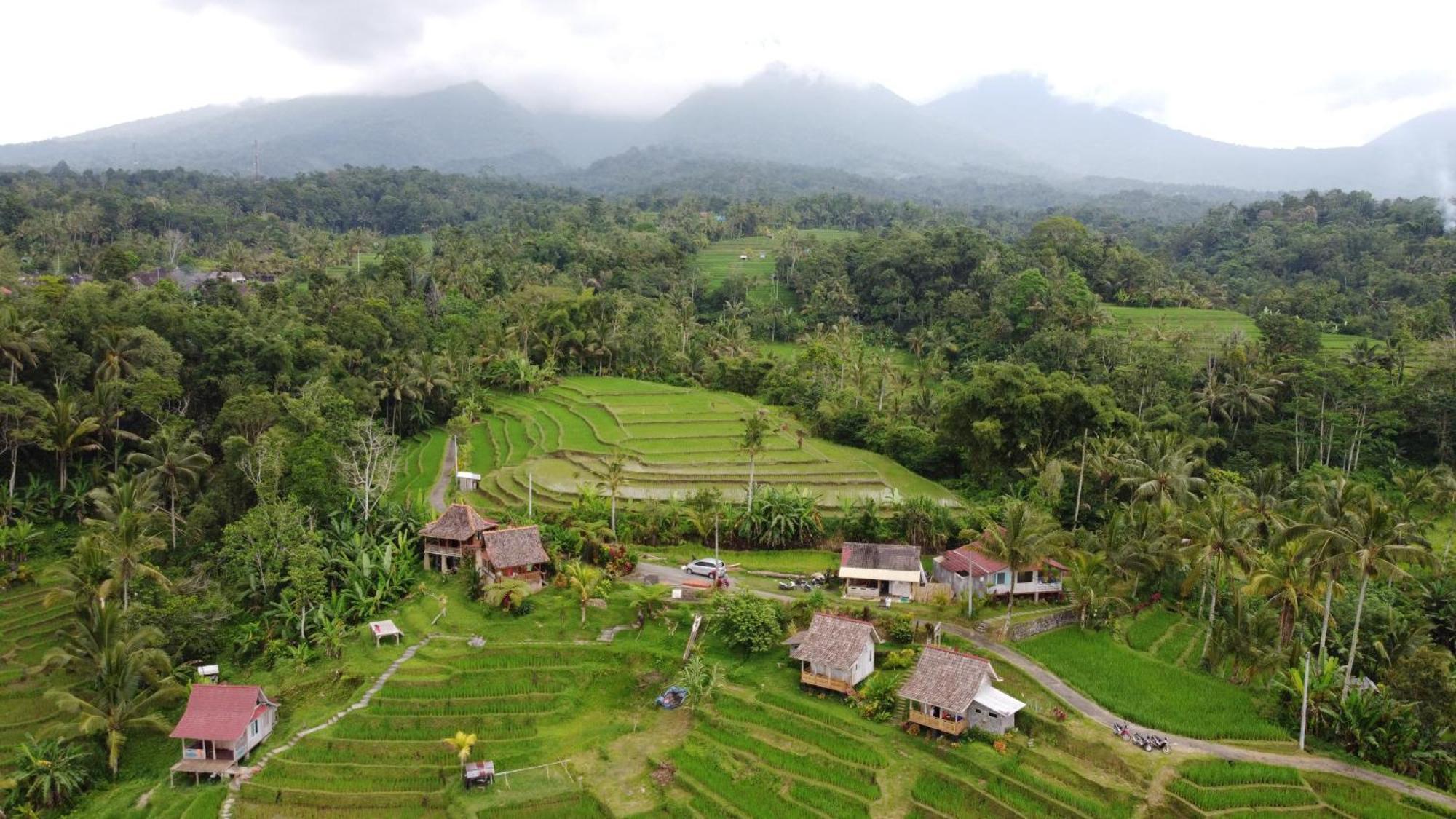 D'ume Bendoel Homestay