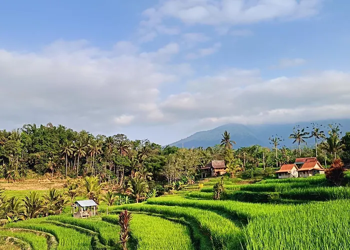 D\'Ume Bendoel Homestay