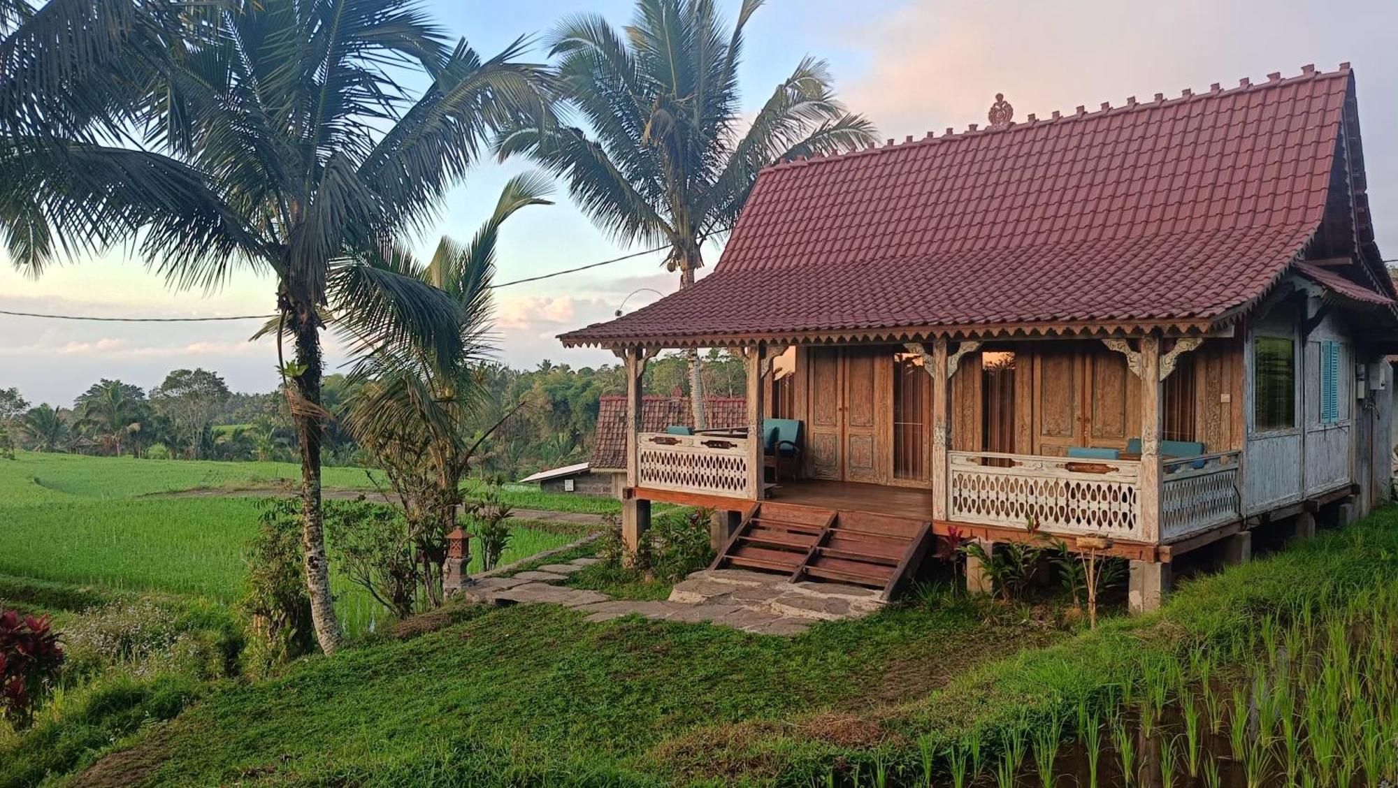 D'ume Bendoel Homestay Jatiluwih